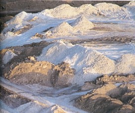 El comienzo de la Guerra