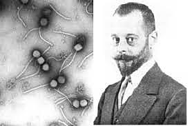 Felix D’ Herelle,1917