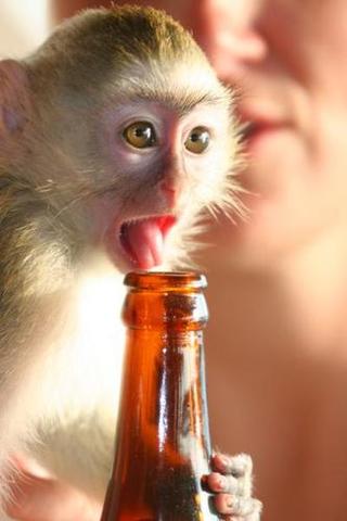 They are acting very strangely