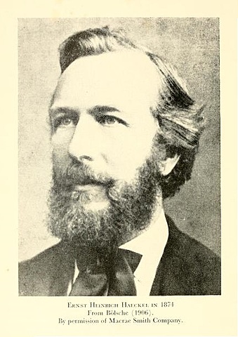 ERNST HAECKEL