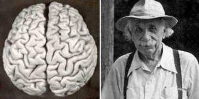 MUERTE DE ALBERT EINSTEIN