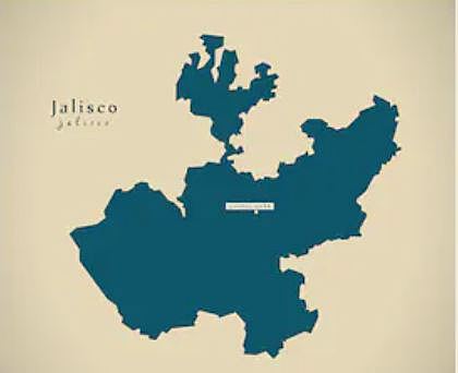 Nacimiento de la Dependencia de Experimentación Psicopedagógica.JALISCO.