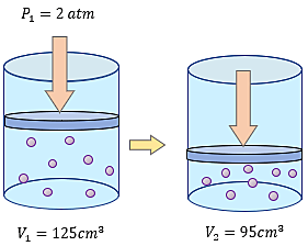 Robert Boyle (1627-1691)