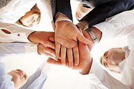 Analista de Políticas