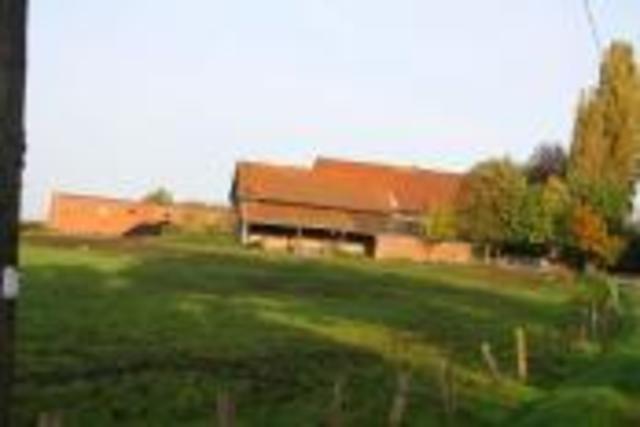 Vierter Prozesstag "Monika D. lebte in einer Scheinwelt"