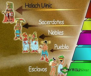 Organización social(de forma jerárquica).