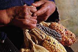 El ser humano comienza a guardar alimentos en recipientes o envolturas