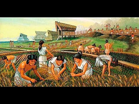Las civilizaciones del Creciente Fértil descubren la agricultura.