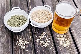 Sumerios y babilonios fabrican cerveza usando levaduras