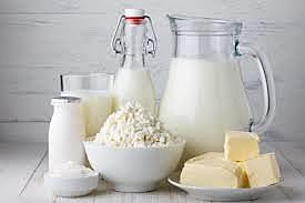 Se establecen otros procesos de fermentación láctica utilizando bacterias (China), yogurt, queso, vino, etc.