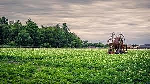 Los agricultores en Europa aumentan el cultivo de leguminosas y comienzan a practicar la rotación de cultivos para mejorar el rendimiento y el uso de la tierra. Europeos adaptan el cultivo a sus condiciones locales.