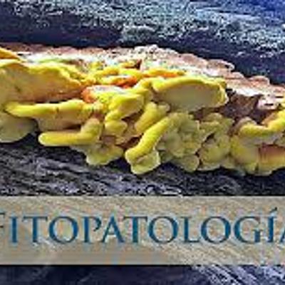 Timeline: Historia de los conceptos de causa y enfermedad: paralelismo entre la Medicina y la Fitopatología.