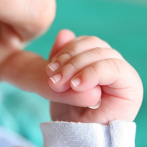 10ma semana Desarrollo de la placa ungeal