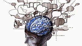 Timeline: La Memoria Humana