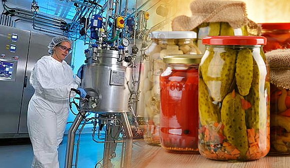 Se optimiza el proceso de fermentación, Kornberg descubre la enzima ADN polimerasa I