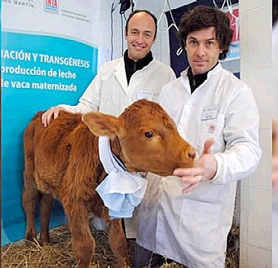 La empresa argentina Bio Sidus