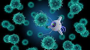 la aplicación de la nano medicina.