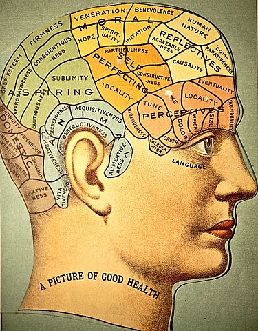 Surgimiento de nueva ciencia: Frenología