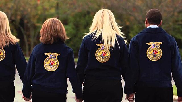 National Blue and Gold colors