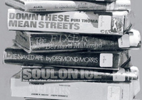 Board of Education vs Pico