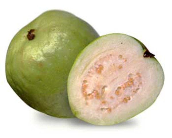 Tasting the Guava