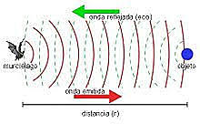 «Fuerza Vegetativa»