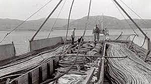 Cyrus West Field y Atlantic Telegraph Company