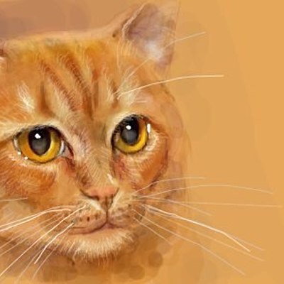 Timeline: Биография Васильева Виолетта 204 группа