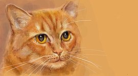 Timeline: Биография Васильева Виолетта 204 группа