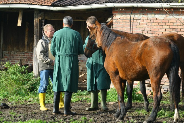 Fünfter Prozesstag: Lebensumstände werden geklärt