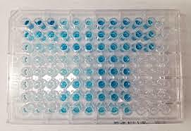 Development of ELISA test to screen for diseases such as HIV