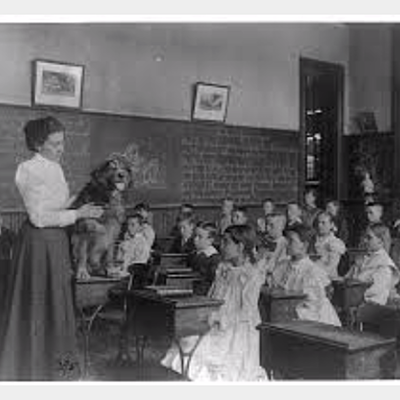 Timeline: American Progressive Period By Trianna Peralez and Esmeralda Gonzalez