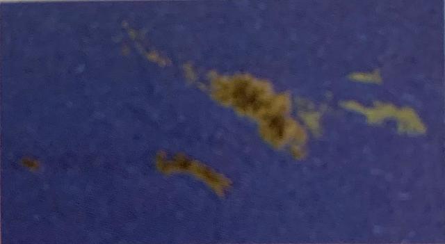 Período Cretáceo. (145-66 millones de años)