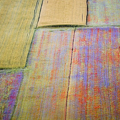 Timeline: Mi línea del tiempo