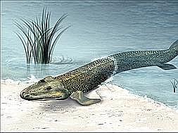 Peces y Protoanfibios.