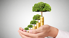 Timeline: Economía y Desarrollo Sustentable.