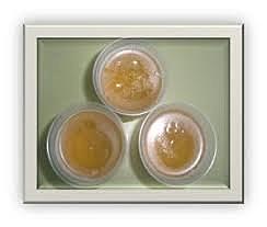 Cultivo- caldo de gallina