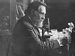 Nuevas religiones cientificas