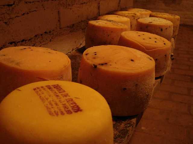 Se desconocen las técnicas de quesos madurados en Colombia