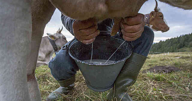 TLC crea incertidumbre en el sector