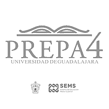 integrantes del equipo