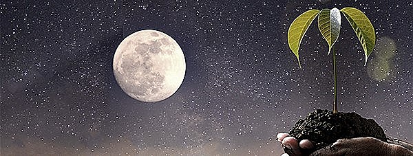 TEORÍA CÓSMICA O SIDERAL