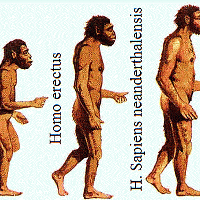 Timeline: Origen de los Humanos