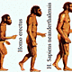Prehistoria hominizacion