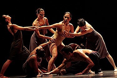 Cambio de tema de investigación