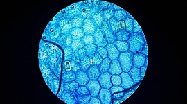 Timeline: Suites ofimáticas