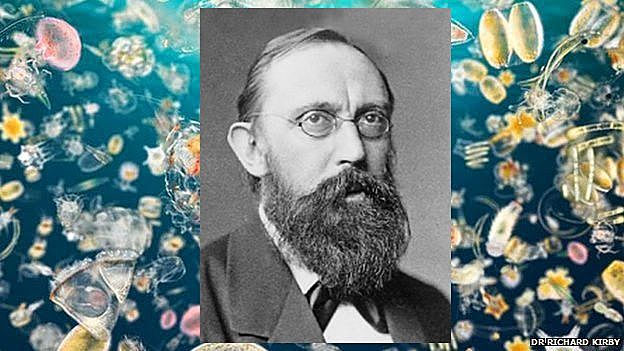 Se acuña el término "plancton"