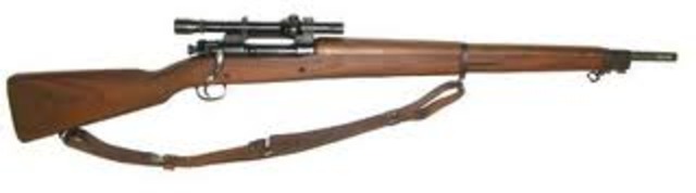 Springfield Rifle