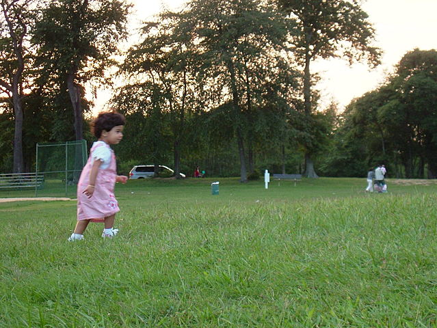 Yo fui a la parque por primera hora