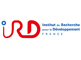 Biorreactor en columna.